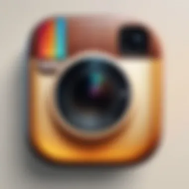 Understanding Search Functionalities on Instagram Diagram showcasing search functionalities within Instagram