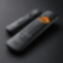 Overview of the Amazon Fire TV Stick remote showing its design and layout