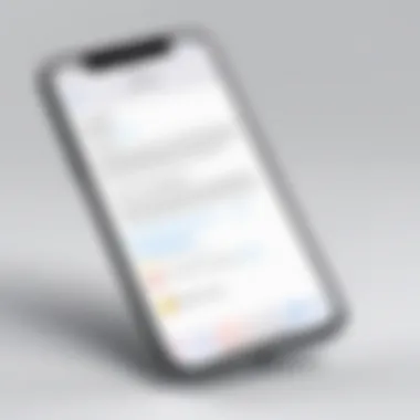 Inputting New Email for Apple ID User entering new email address