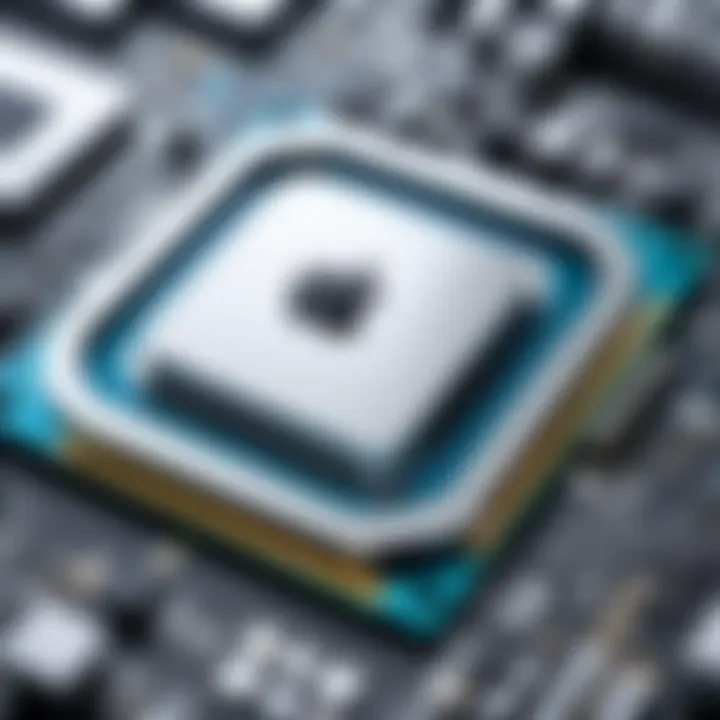 Architectural designs of different Mac processors