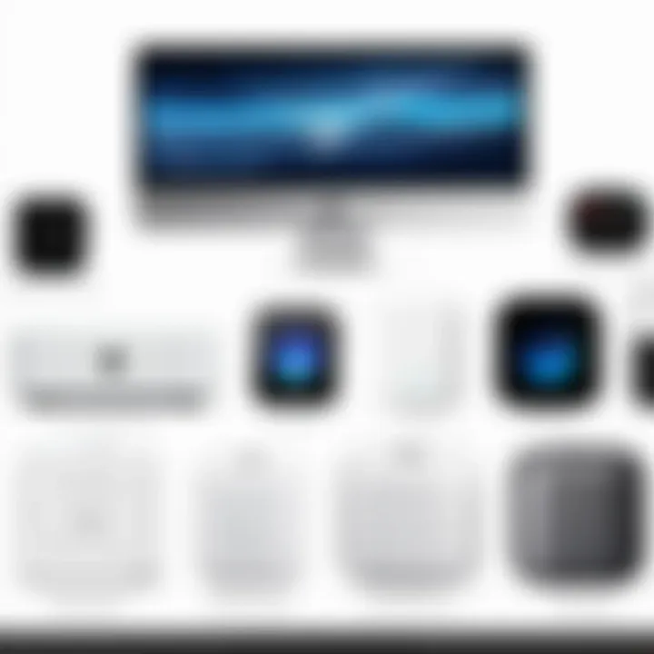 An illustrated comparison of various Apple-compatible devices and their features