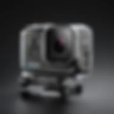 Comprehensive Analysis of the GoPro Hero 8 Black on Amazon Summary Comprehensive Analysis of the GoPro Hero 8 Black on Amazon Summary
