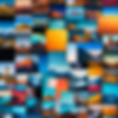 A collage of different photo background removal applications available for iPhone.