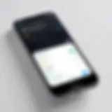 iPhone reminder app interface