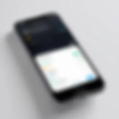 iPhone Reminder App Interface iPhone reminder app interface