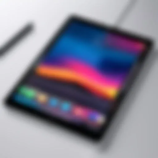 Demonstration of iPad Pro screen recording interface