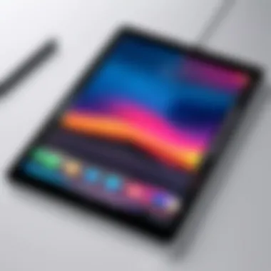 iPad Pro Screen Recording Interface Demonstration of iPad Pro screen recording interface