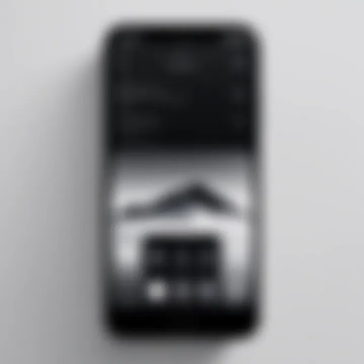 A minimalist iPhone home screen design emphasizing simplicity with a monochromatic theme.