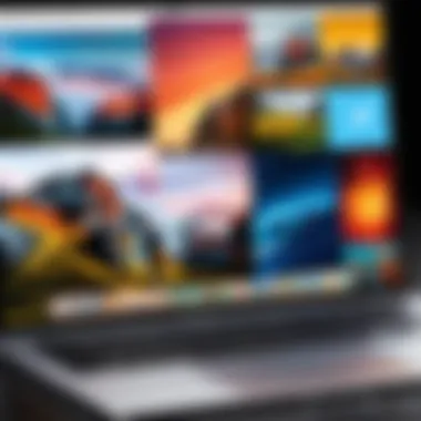MacBook interface displaying collage options