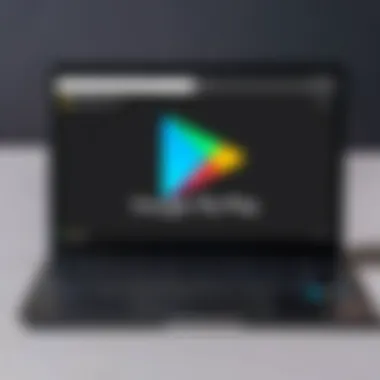 Google Play Store on Chromebook Screenshot of the Google Play Store on a Chromebook