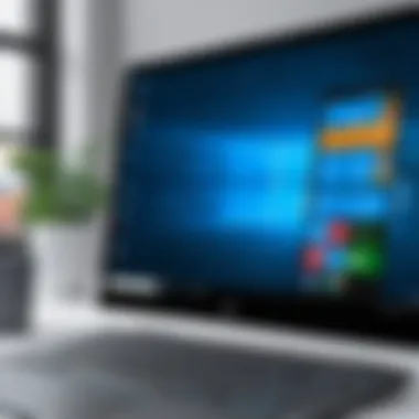 Installation Process Installation interface for a free application on Windows 10