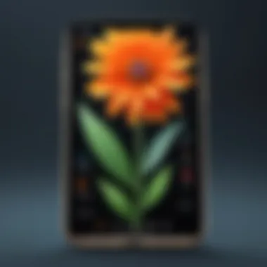 Understanding App Features A graphic representation of app features for flower identification
