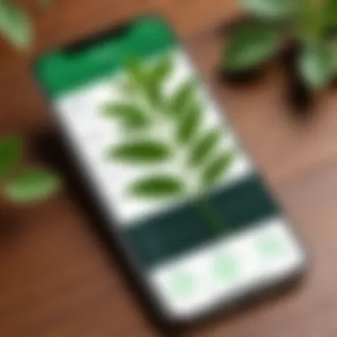 Accuracy Rates of Plant Identification Apps Comparison chart of accuracy rates for various plant identification apps