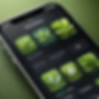 Plant Identification App Interface Close-up of plant identification app interface on an iPhone