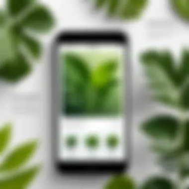 Infographic showcasing features of popular plant identification apps