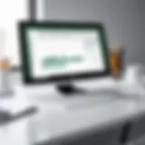 Overview of the Excel Web App interface showcasing its features