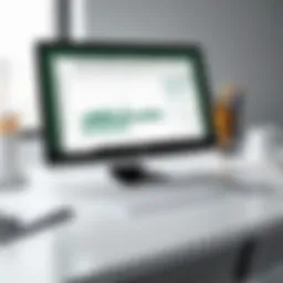 Overview of the Excel Web App interface showcasing its features