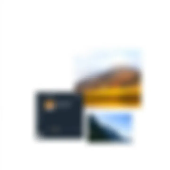 Screenshot of a completed project demonstrating merged images in a creative layout