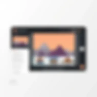 User interface of a popular image merging application showcasing various options