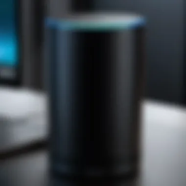 Personalized Alexa Skill Interface Personalized Alexa skill interface showcasing user preferences