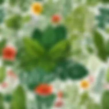 Infographic showcasing the impact of plant identification apps on ecology