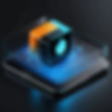 Security features in remote applications