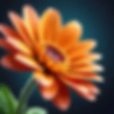 Flower Blooming Close-up of a flower blooming in slow motion