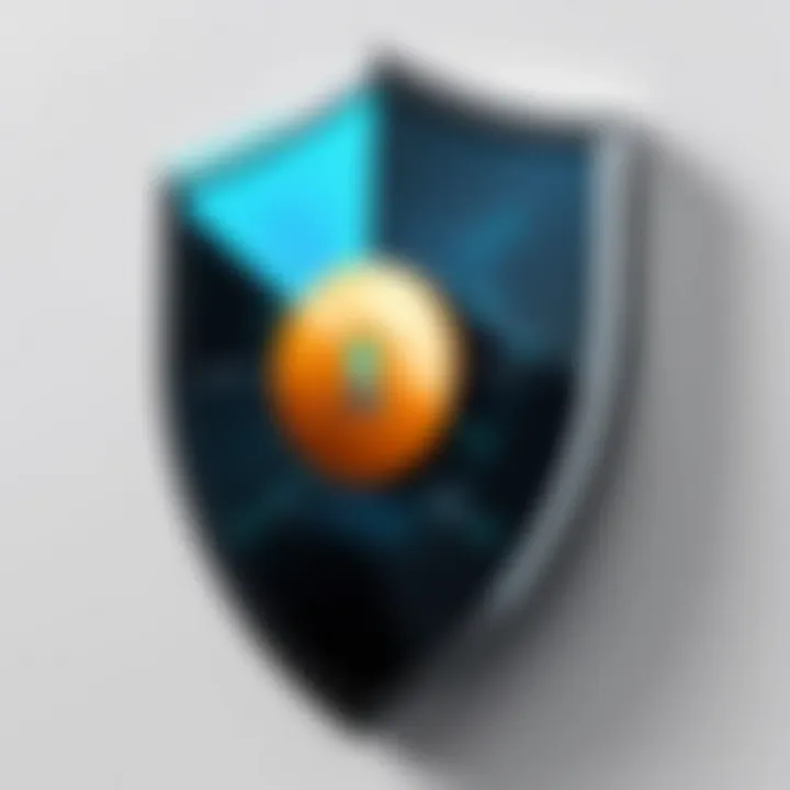 Illustration of a security shield representing privacy