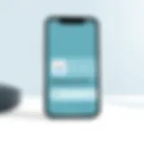 iPhone 13 display showing remote control application