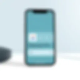 iPhone 13 display showing remote control application