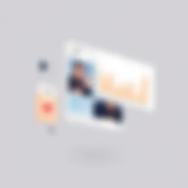 User interface of a popular Instagram analytics tool