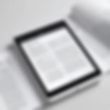 Visual representation of the PDF output screen