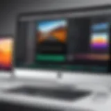 A sleek Mac interface showcasing photo editing software