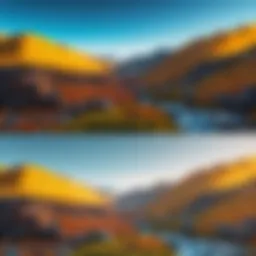 A visual comparison of before and after background removal