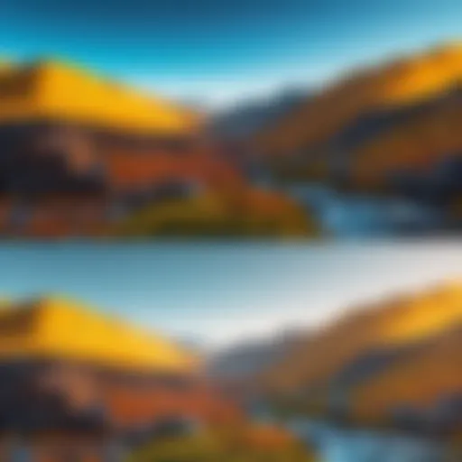 A visual comparison of before and after background removal