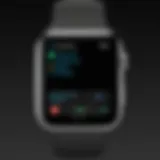 Apple Watch displaying settings