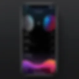 Settings for screen recording on iOS