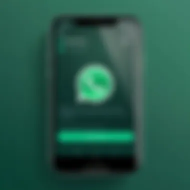 Setting Up Your WhatsApp Account WhatsApp account setup interface