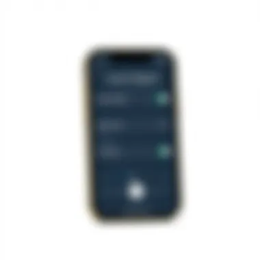 iPhone displaying custom ringtone options