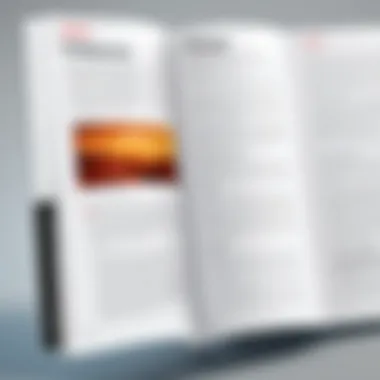A visual representation of PDF file with highlighted image sections