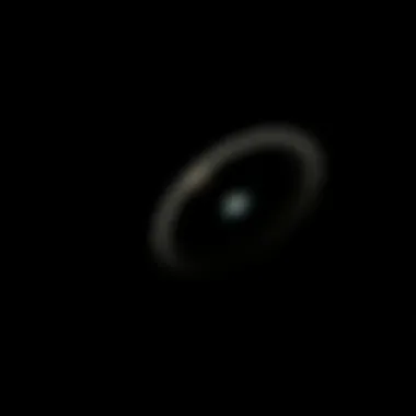 Close-up of an object highlighted against a dark backdrop