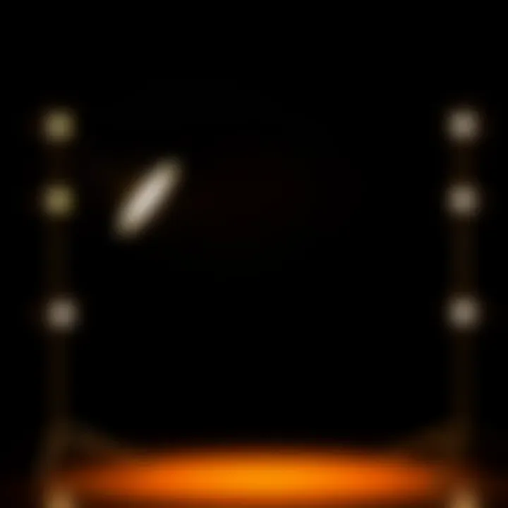 Creative lighting technique used to enhance an image