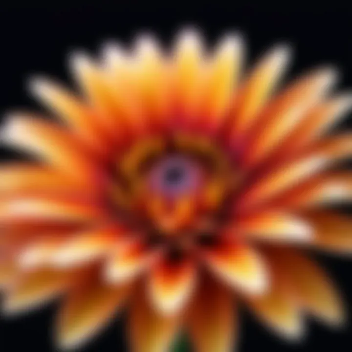 A close-up of a flower artfully blurred to emphasize its colors and textures