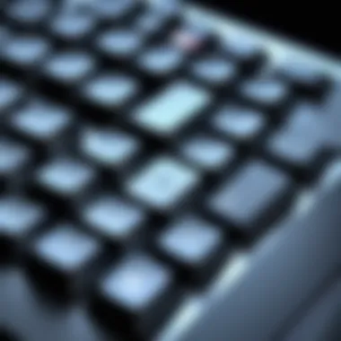 The Anatomy of a Keyboard A close-up view of a keyboard showcasing the keys
