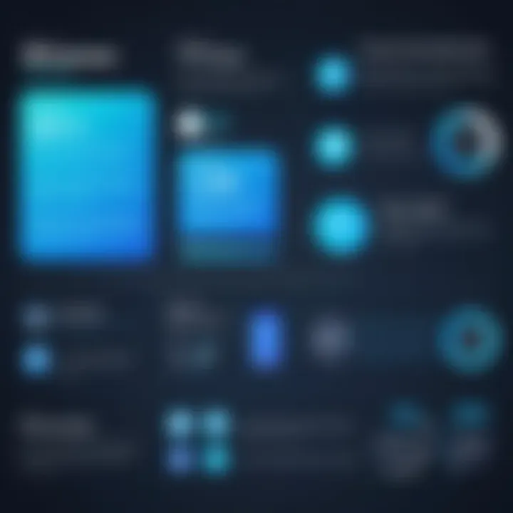 Infographic summarizing long-term implications of widget ownership