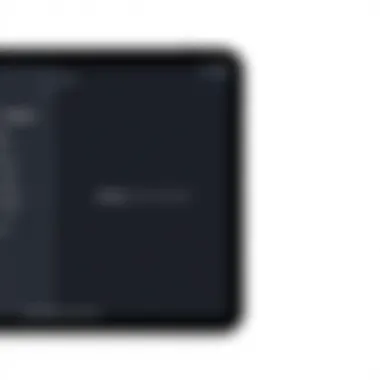 iPad Print Options Screen Illustration of iPad displaying print options