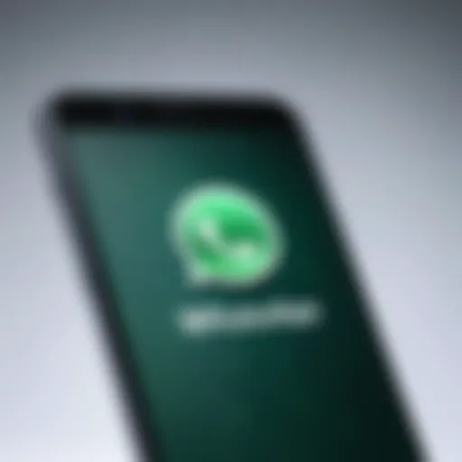 Smartphone displaying the WhatsApp logo