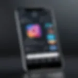 Dynamic Instagram video playback interface