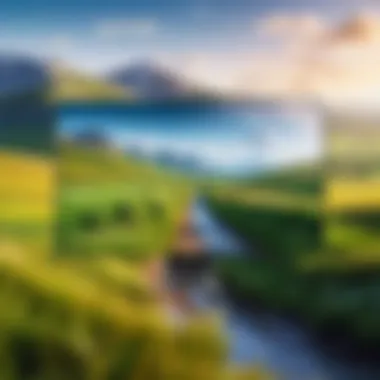 A landscape photograph where the foreground is sharp, and the background is artistically out of focus.