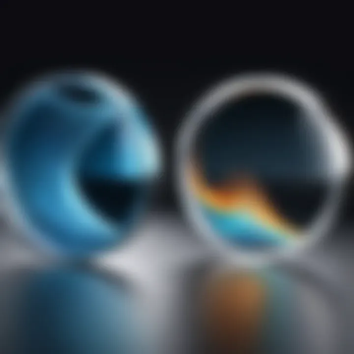 An illustrative comparison of different blurring methods applied to the same image.